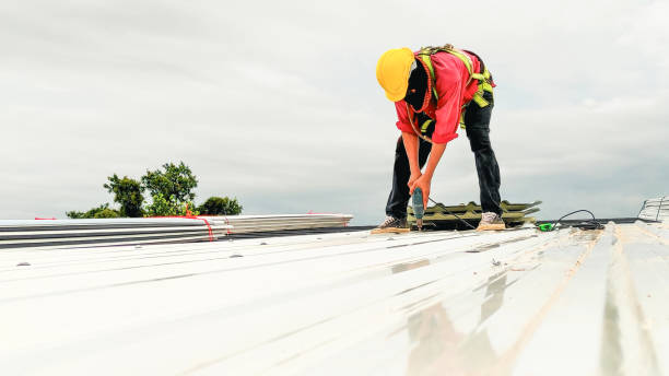 Best Roof Maintenance and Cleaning  in Bel Air North, MD